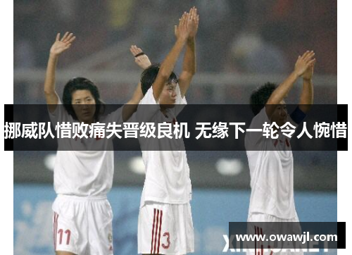 挪威队惜败痛失晋级良机 无缘下一轮令人惋惜