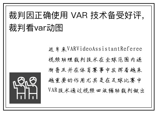 裁判因正确使用 VAR 技术备受好评，裁判看var动图